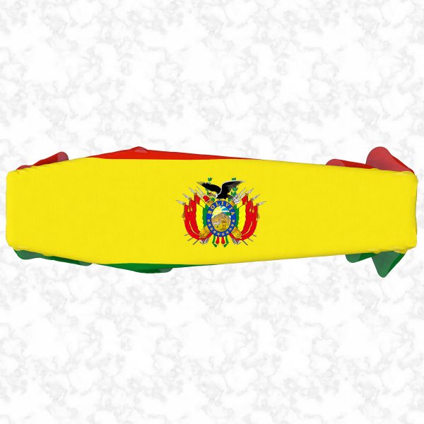 Bolivia flag 3D top
